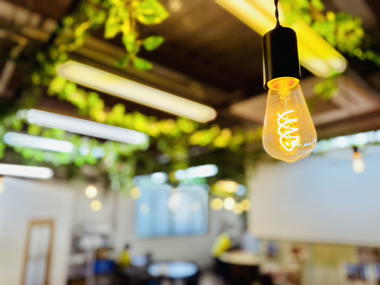 ギャラリー画像